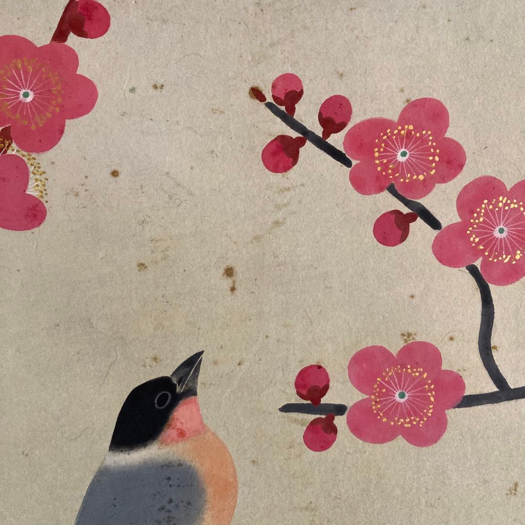 金島桂華「梅」38.4×45cm 2重箱 箱書き 紙本採色 豪華