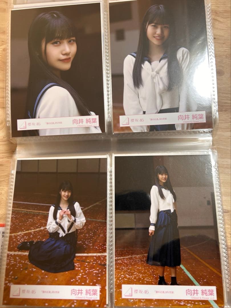櫻坂46 向井純葉 夏の近道 MV衣装 生写真 コンプ - メルカリ