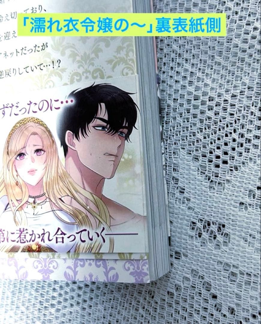 「濡れ衣令嬢のやり直し結婚生活」