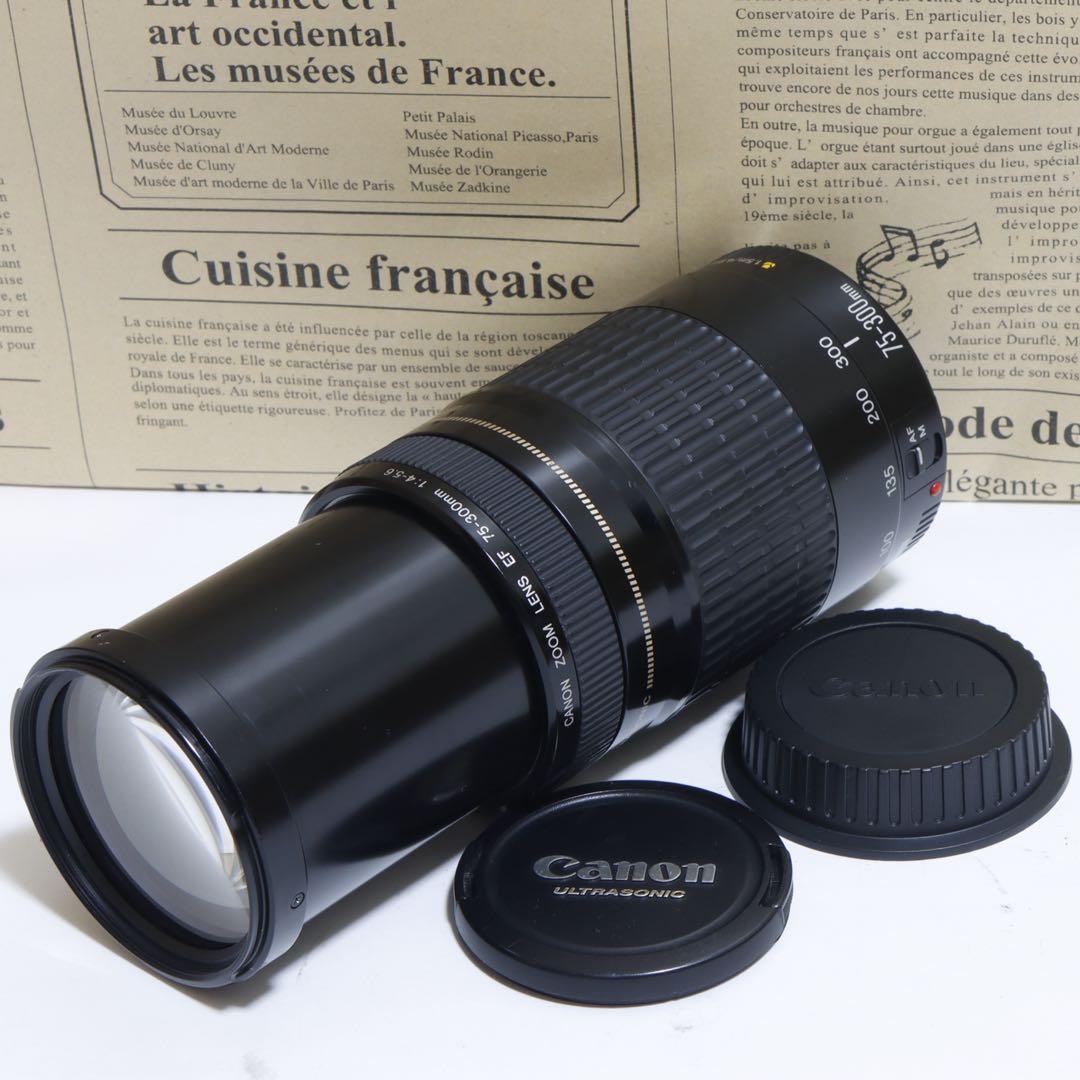 ◇ himawari ◇Canon純正 75-300mm I型 超望遠◇ ◇ 大迫力300mm超望遠 ◇Canon純正 75-300mm II型 ◇ - メルカリ