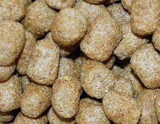 【マズリ】11.3kg トータスダイエット5Ｍ21 リクガメ用 mazuri