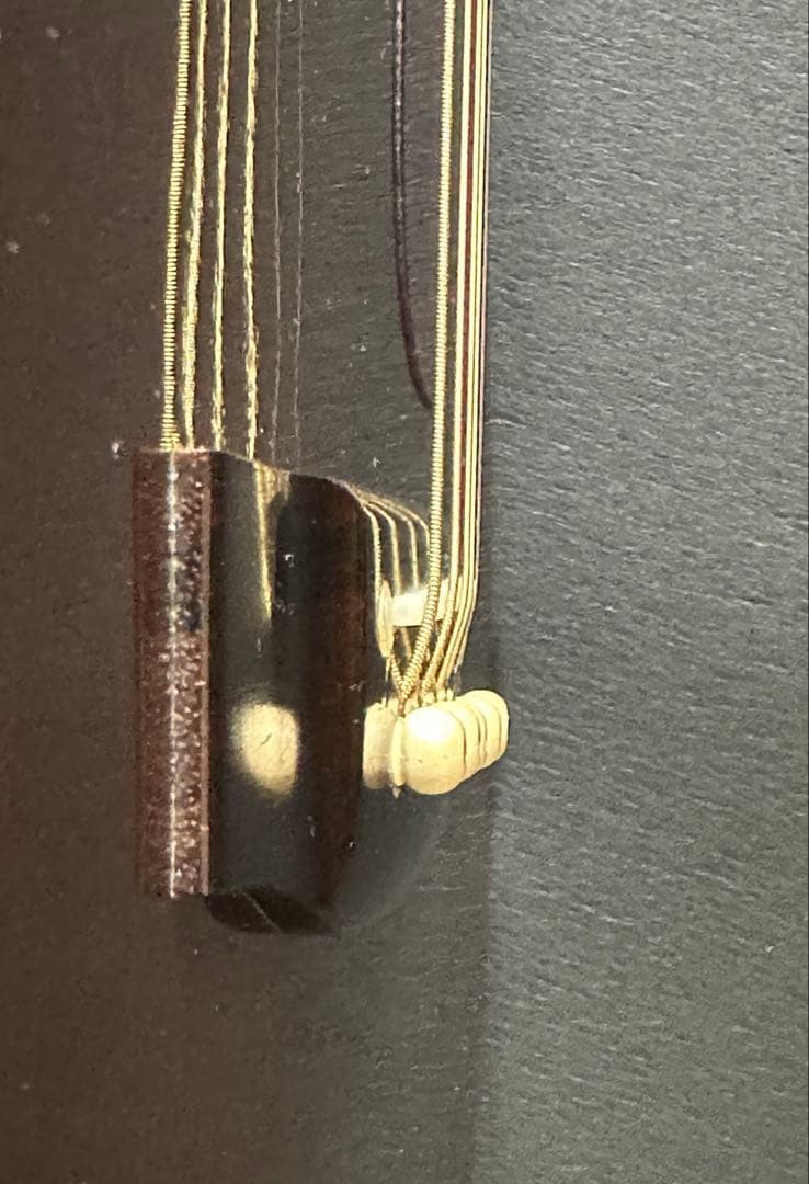 Takamine PT-05E タカミネ 大滝詠一使用モデル - メルカリ