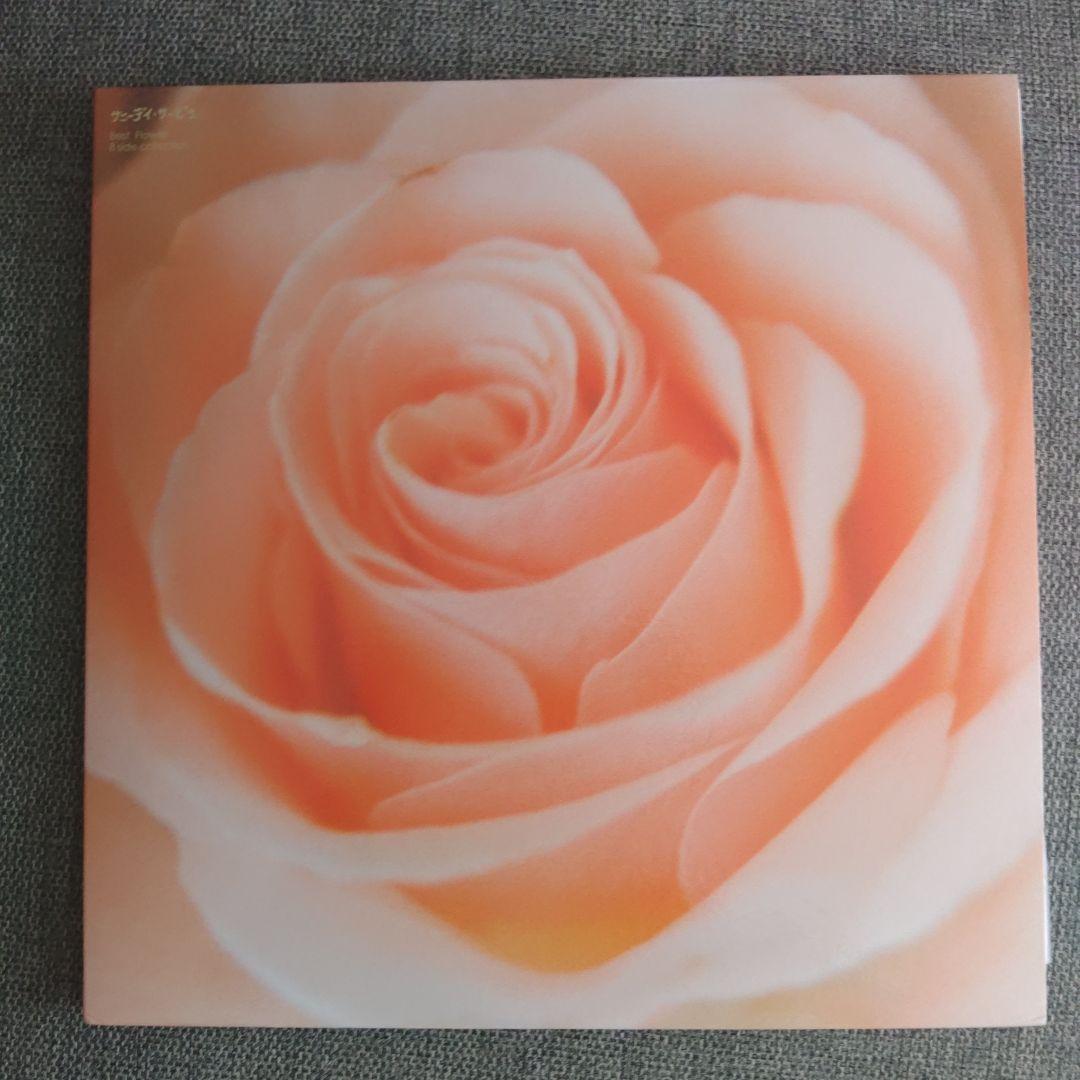 サニーデイサービスレコードBestFIower サニーデイ・サービス /『Live!』(ROSE326X/ANALOG ALBUM) | ROSE