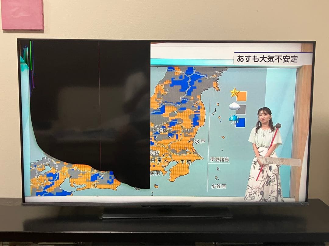 ジャンク品 液晶テレビ Toshiba REGZA 画面不良あり ジャンク品】東芝