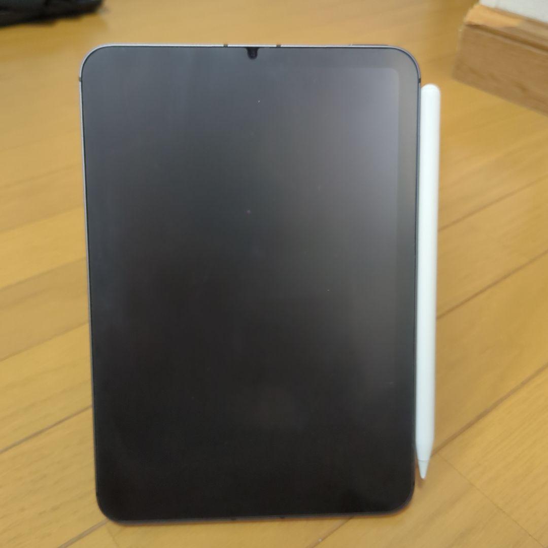 iPad本体 iPadMini6 256GB Cellular + Apple Pencil iPad mini Wi‑Fi + Cellularモデル 256GB - スペースグレイを購入