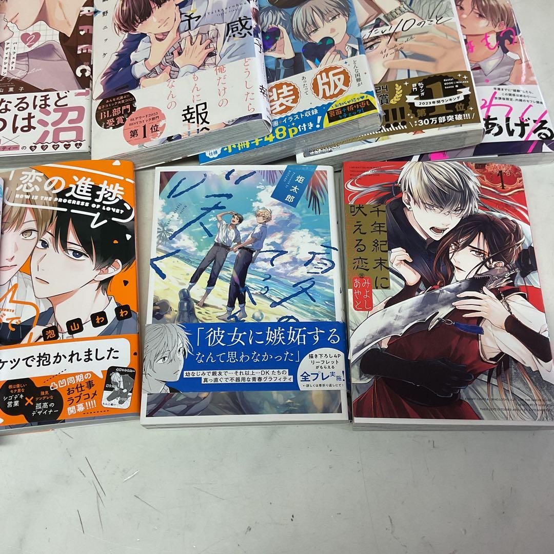 ボーイズラブ漫画 28巻おまとめ　テンカウント　他　(I-53