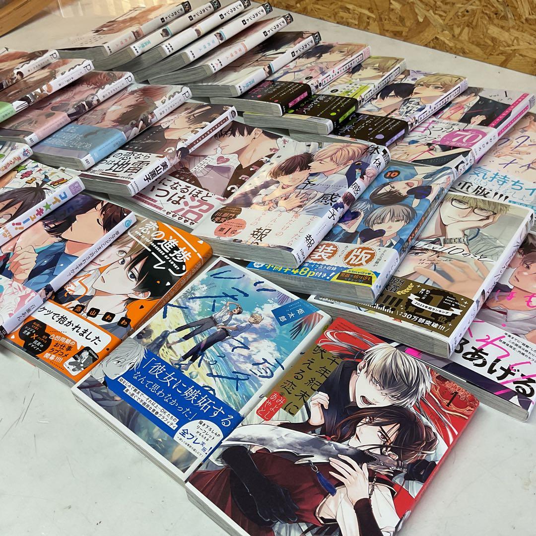 ボーイズラブ漫画 28巻おまとめ　テンカウント　他　(I-53