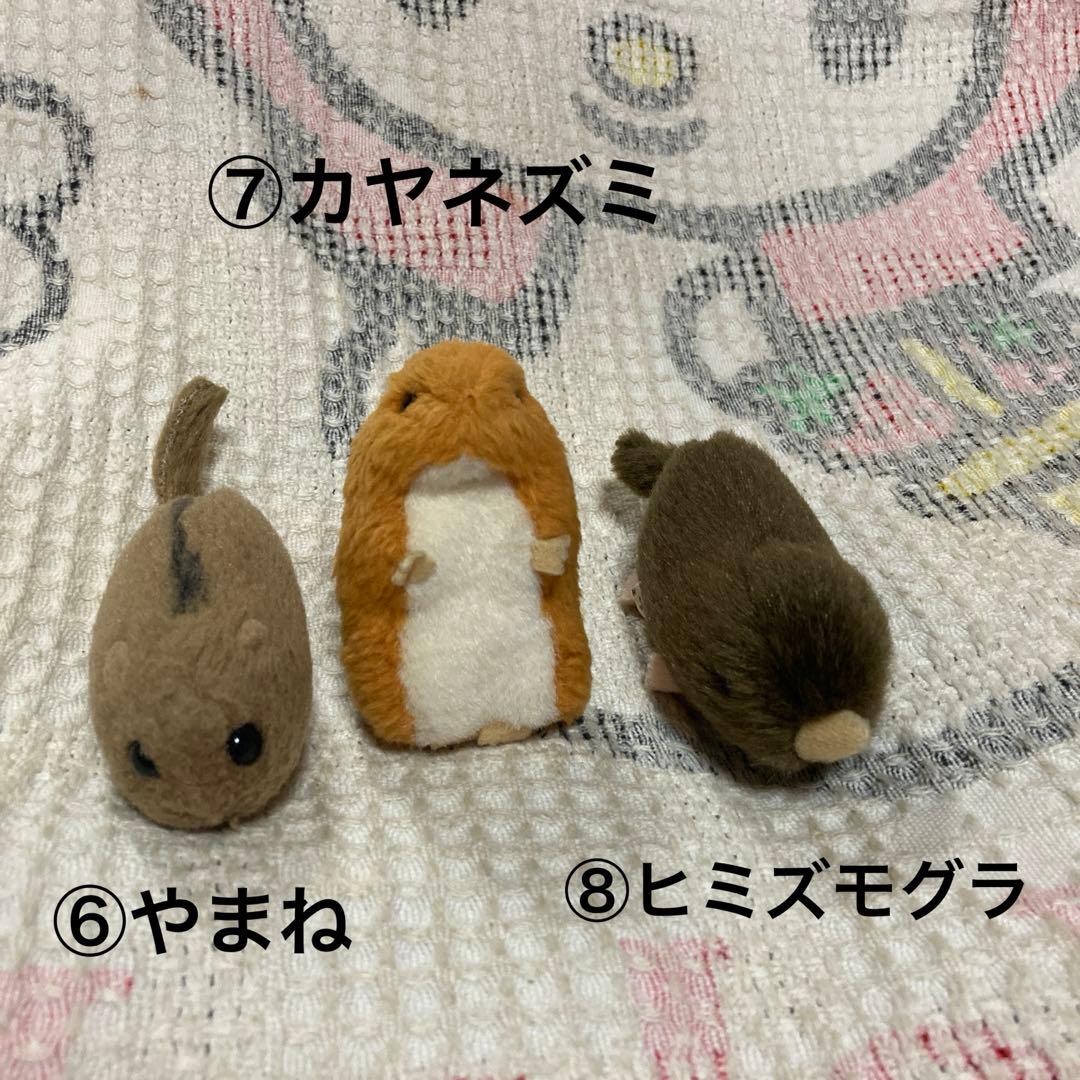 やまね工房 ぬいぐるみ 8コセット 中古品 落合けいこ - メルカリ