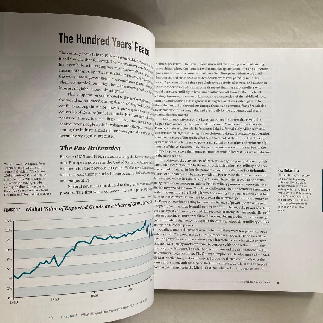 World Politics 5th edition 洋書 英語 匿名配送 - メルカリ