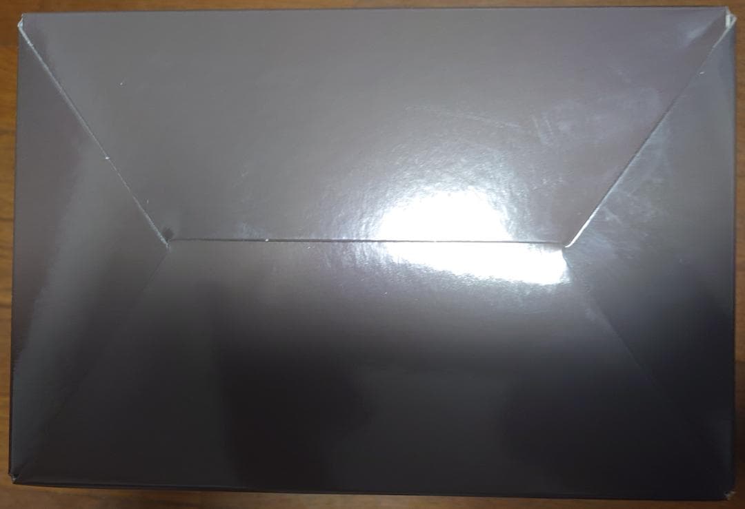 未開封 回天堂 閃乱カグラ NewWave Gバースト レートもアゲアゲ 四季