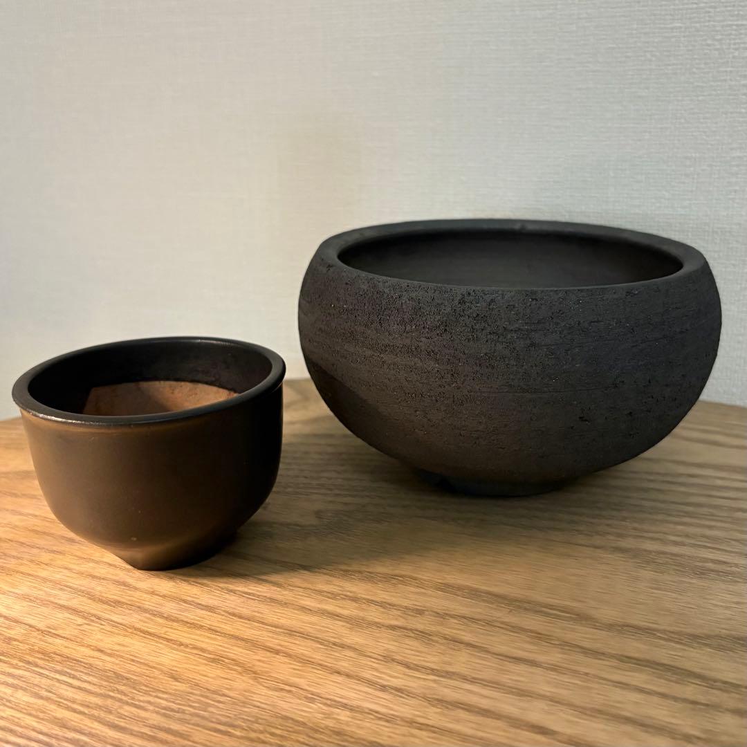 早い者勝ち ボタブロ限定50個 みやび鉢＋おまけ鉢 やっちゃんねる×花農家ゆうき コラボ商品 6号スリット鉢 (直径18cm×高