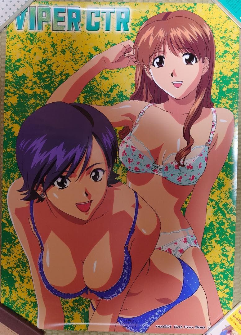 【稀少】VIPERシリーズ（ソニア）本城寺あきらの等身大ポスター含む9枚セット