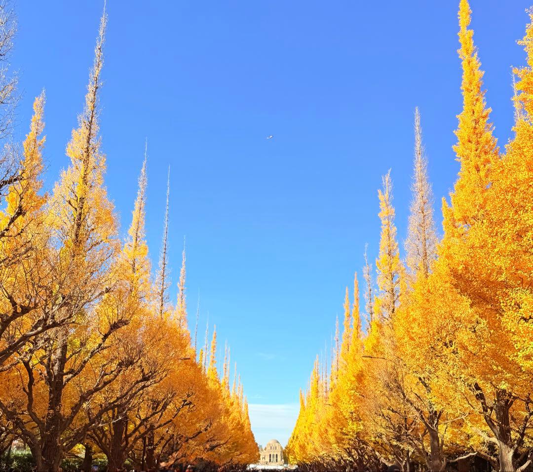 レンズ(ズーム) Canon EF-S 18-200mm f/3.5-5.6