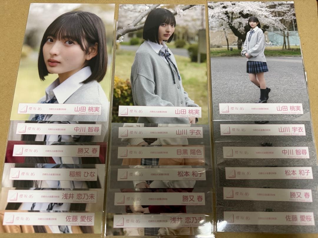 櫻坂46 四期生お披露目制服 生写真 まとめ売り - メルカリ