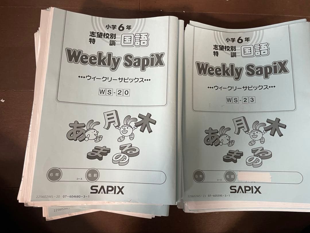 SAPIX 小6 土曜特訓Weekly Sapix国語 知識の総完成①〜㊱まとめ - メルカリ