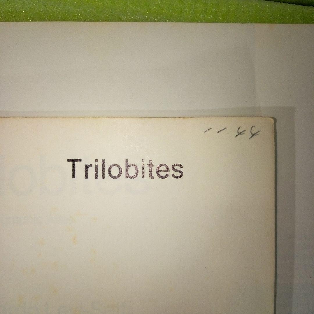 Trilobites A Photographic Atlas 三葉虫 化石 本 - メルカリ