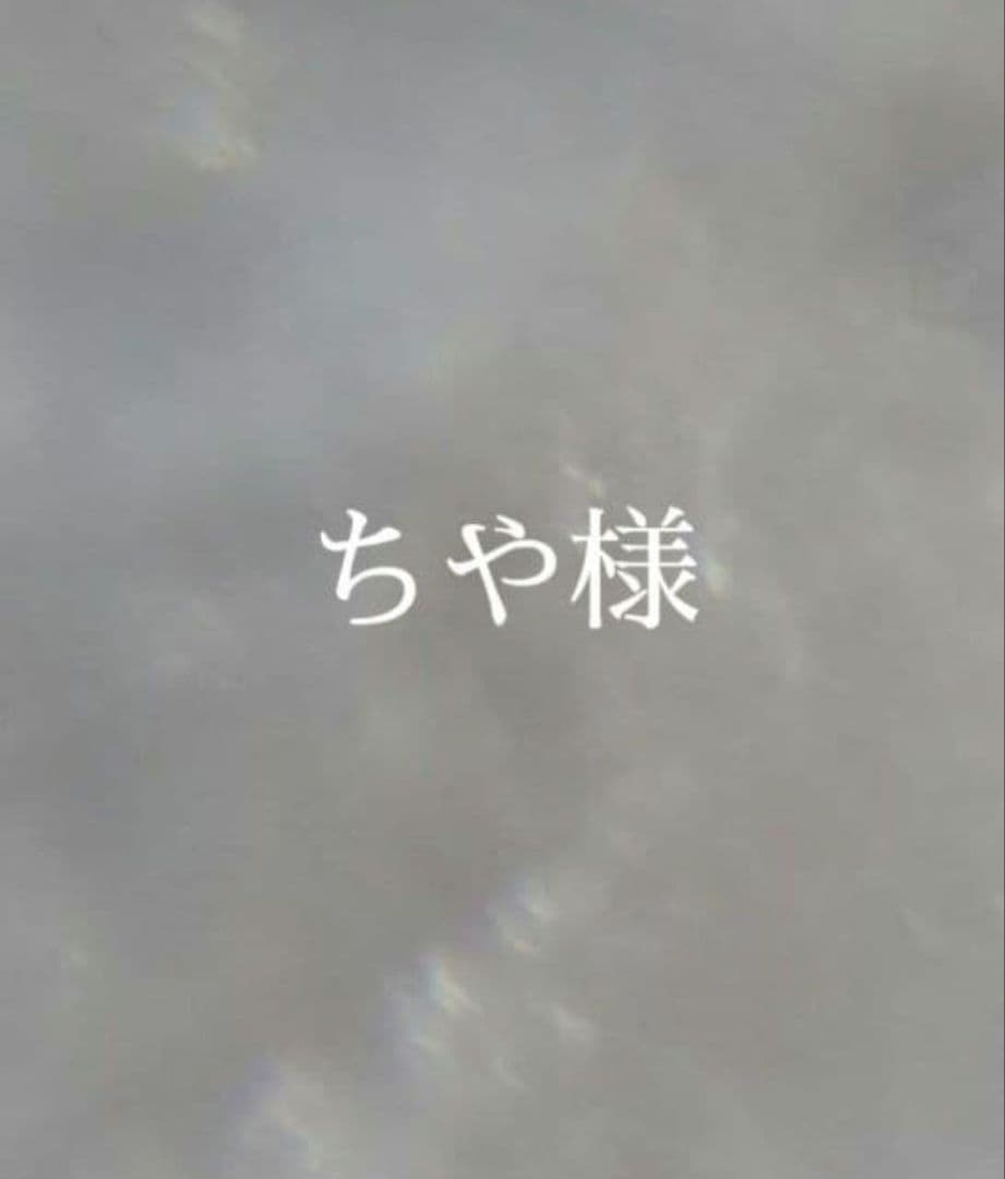 ちや様　オーダー OSAMU GOODS×Te chichi TERRASSE】フロントプリントTシャツ（オフ