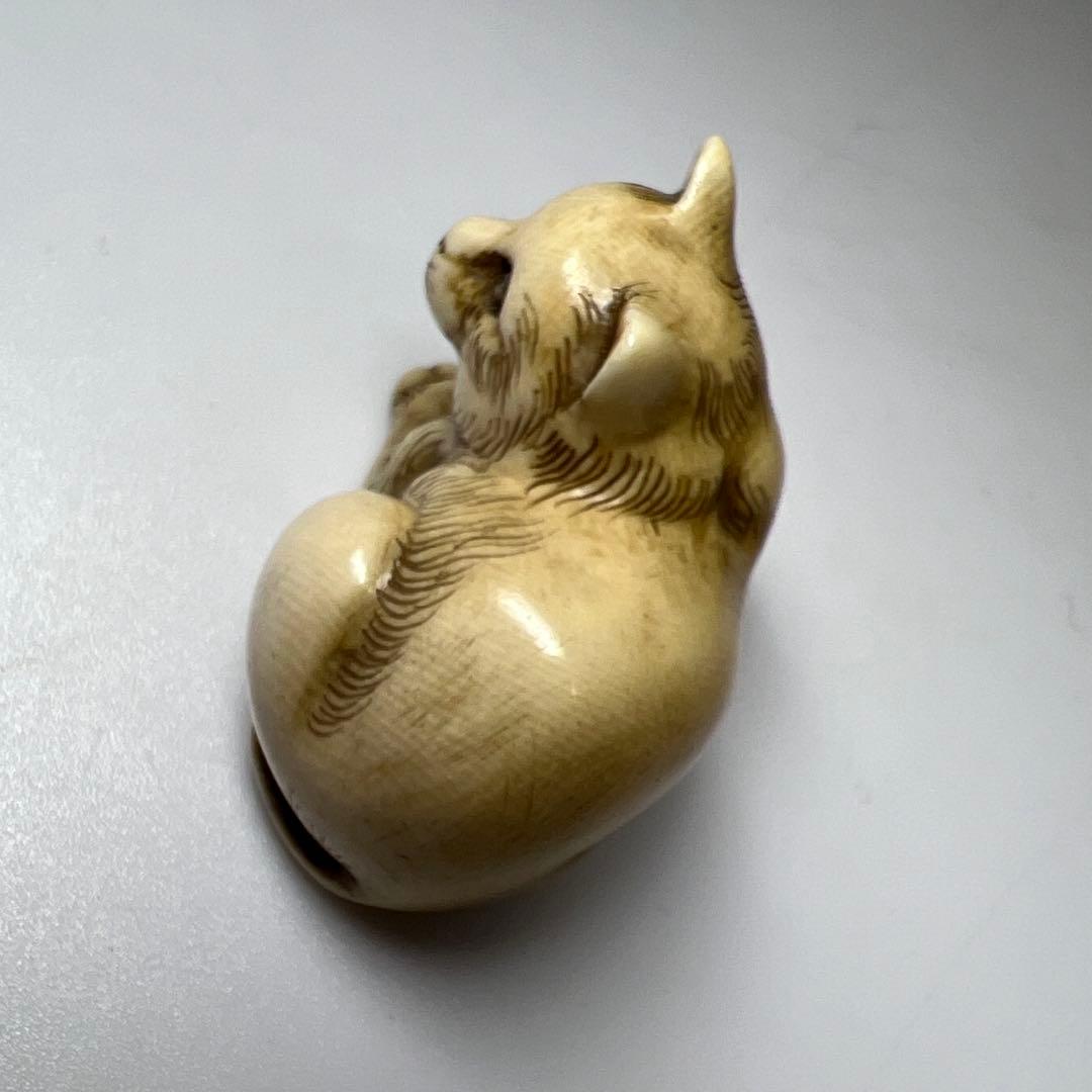 和之在銘 極上猫根付 木箱付 21g 東Y8-0205☆2Fトヒオ - メルカリ