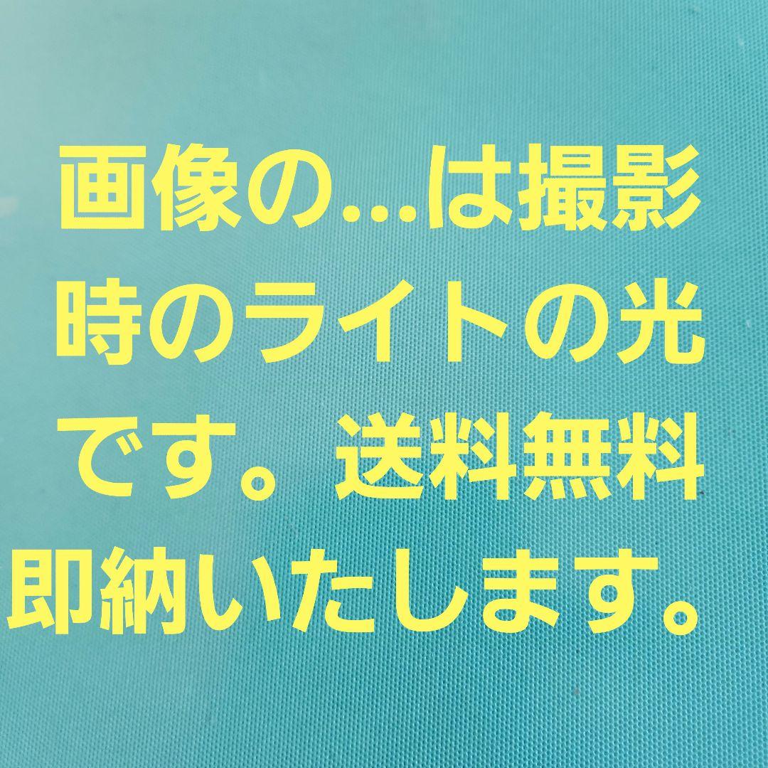 シャリー、ダックス純正[鉄製]ヘッドライトケース新品送料無料即納