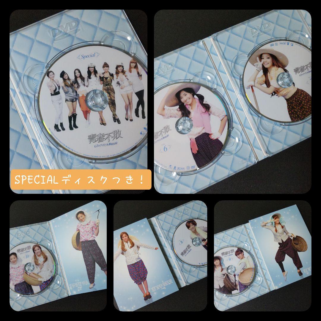 DVD-BOX1&2 SET(セル版)『青春不敗~G7のアイドル農村日記~』完備