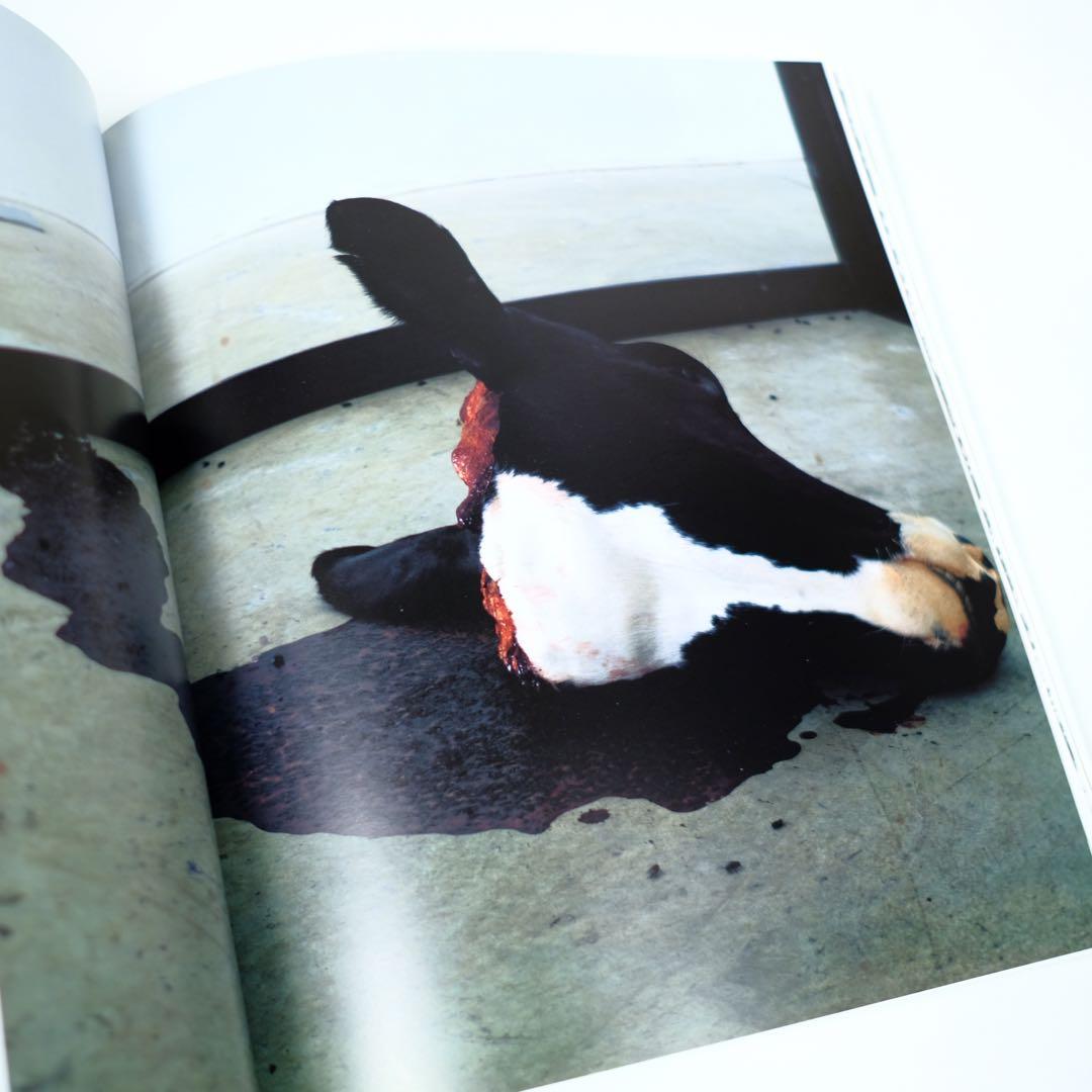 DAMIEN HIRST ダミアン・ハースト 洋書 写真集 作品集 初版 - メルカリ
