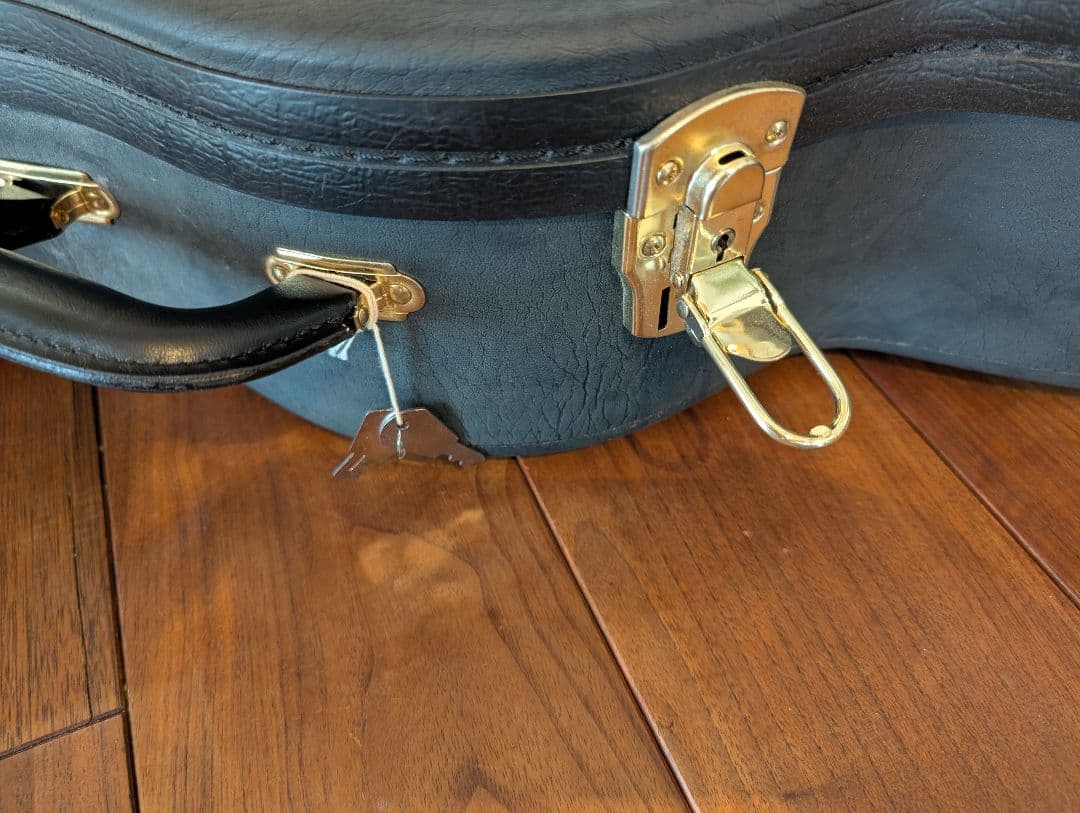 K.yairi NY-120V 2012製 12F オール単板 ローズウッド - メルカリ