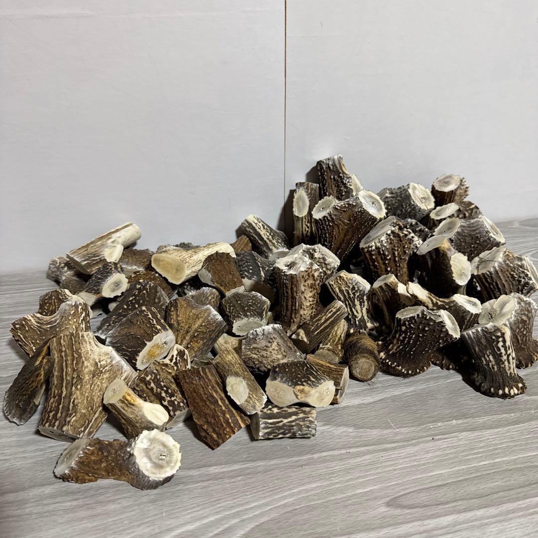 鹿の角　端材Ａ　ハンドメイド用 楽天市場】鹿の角 枝先10cm前後を200gセット アクセサリー用 パーツ