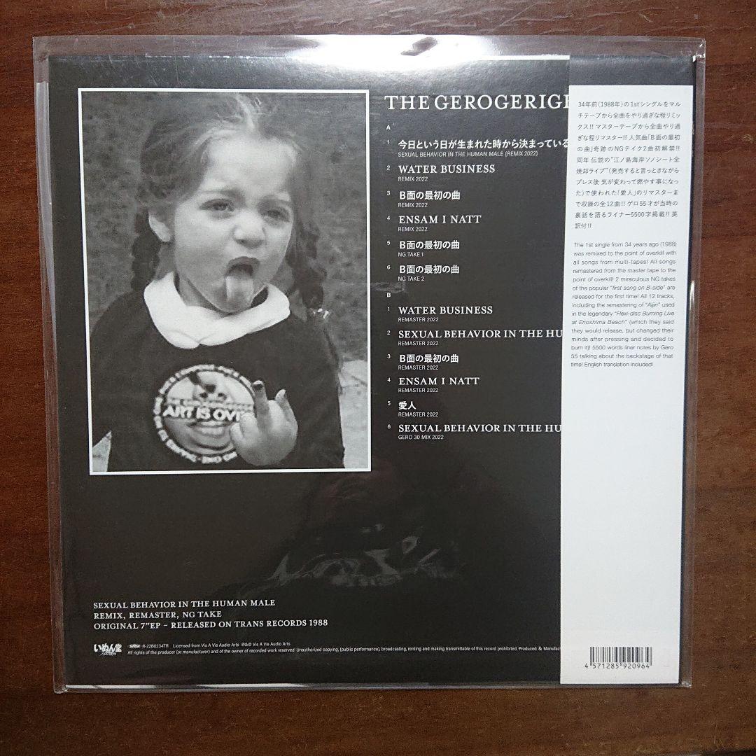 THE GEROGERIGEGEGE ゲロゲリゲゲゲ 限定LP レコード - メルカリ