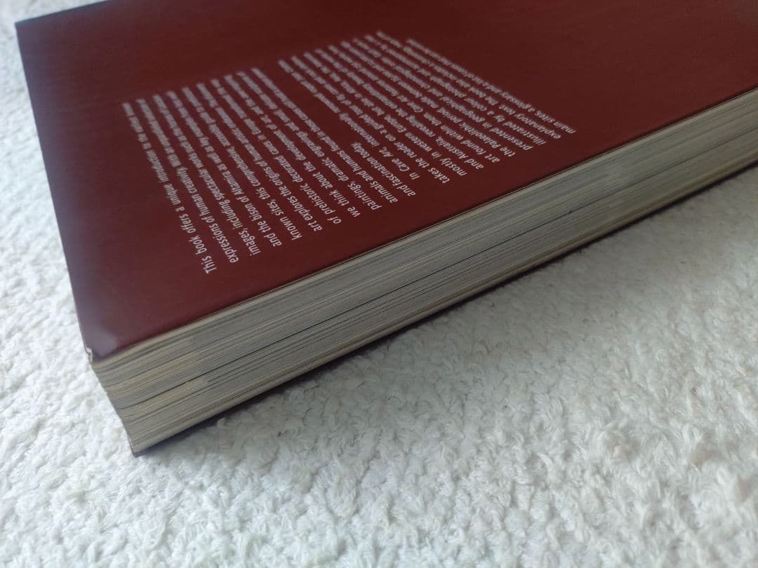 レア! 洞窟芸術 Cave Art ジャン・クロッテ Jean Clottes - メルカリ