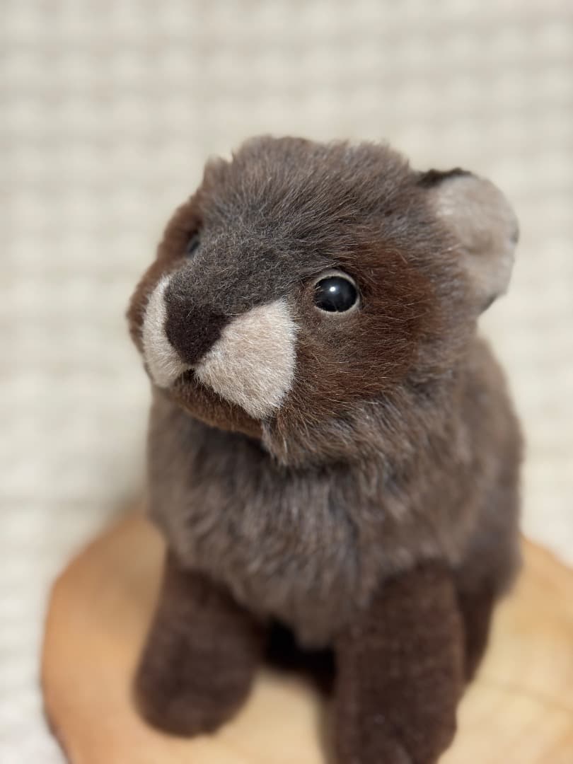 【最終値下】やまね工房　たぬき　タヌキ　ぬいぐるみ　日本製 楽天市場】タヌキ ぬいぐるみの通販