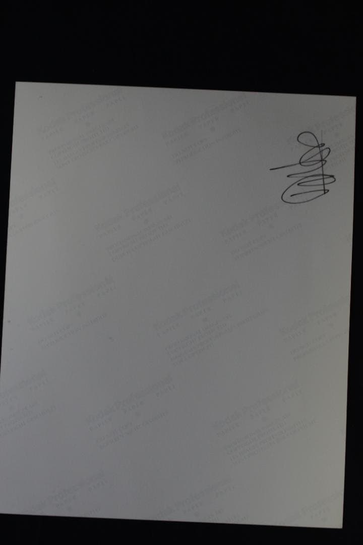 VISIONAIRE 40：DAVID SIMS ROSES　★★値下げしました