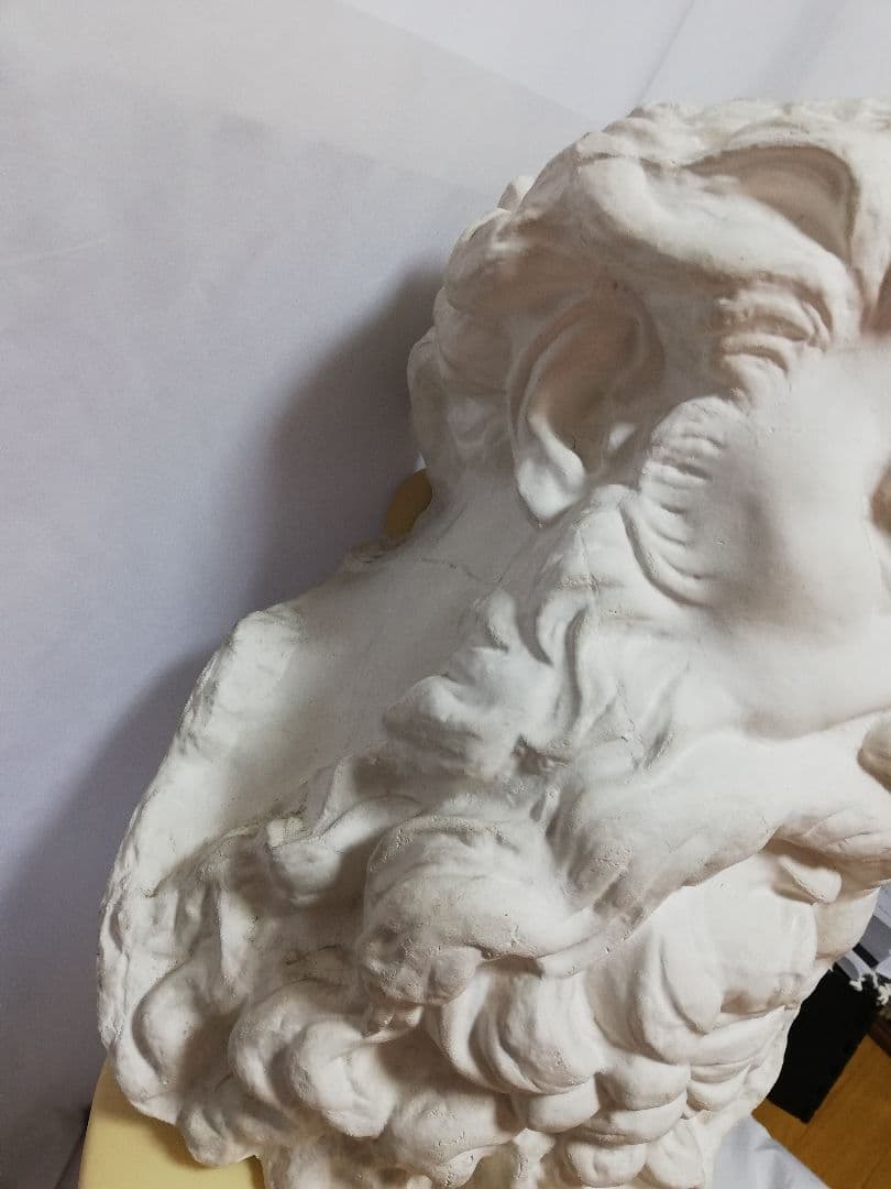 石膏像 モーゼ大顔面 基礎デッサン美大受験 - メルカリ