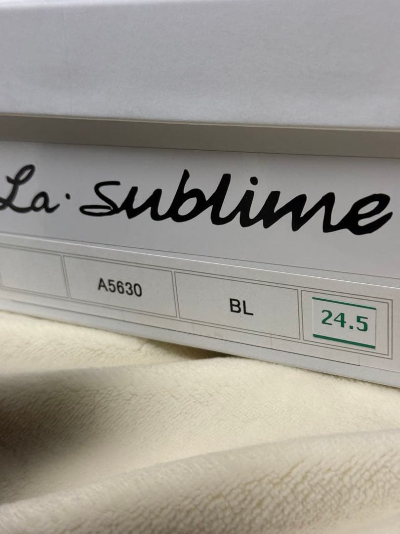 試着のみ 第一ゴム ラ・シェブリー A5630 黒 24.5cm 本革