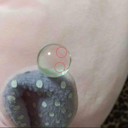 バンビーナ ふぁふぁとんさま ぬいぐるみ ピンク パープル ブタ