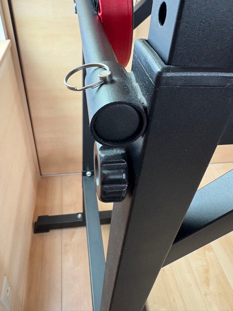 BangTongLi ぶら下がり健康器 黒