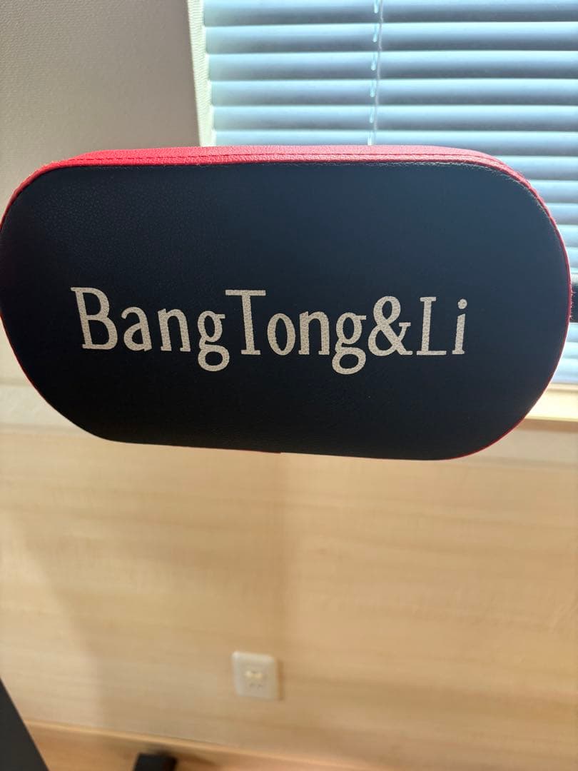 BangTongLi ぶら下がり健康器 黒