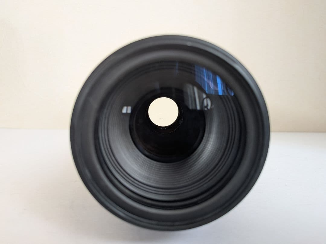 【爆速AF】Canon EF 90-300mm F4.5-5.6 USM 超望遠