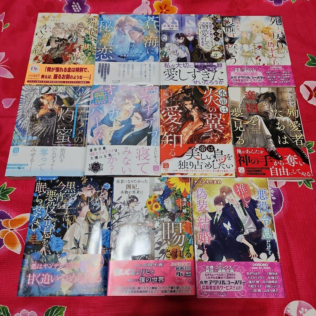 ★BL小説★ 恋愛ノベル 607-2035-
