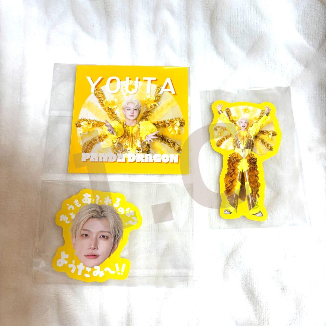 パンダドラゴン 2026 日本武道館 パラゴンカーニバル ようた