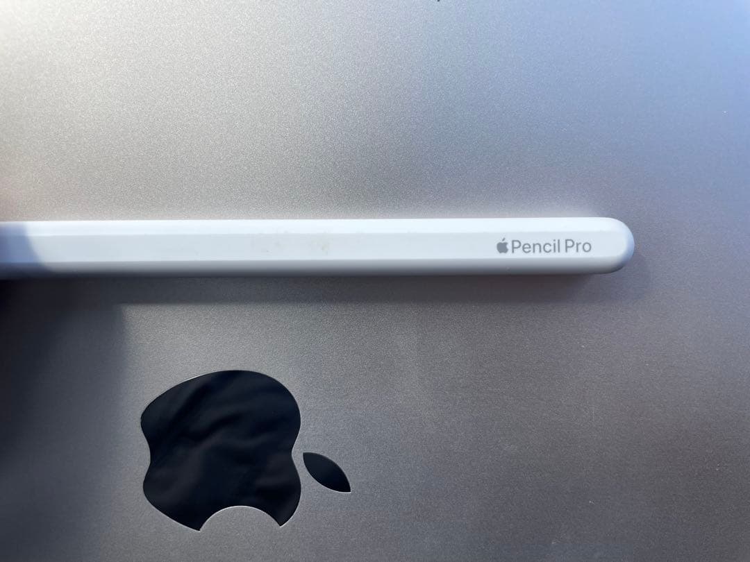 専用】Apple Pencil PRO ＊箱無し本体のみ＊ Apple Pencil ⚠️Apple