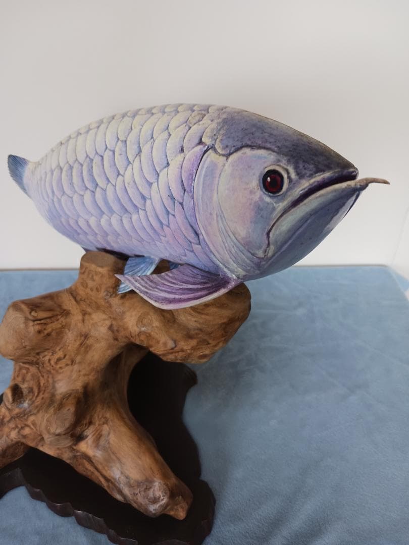 熱帯の魚、木製、紫と青のグラデーション 約30cm テトラ オールグラスアクアリウム520 熱帯魚セット｜観賞魚・水生生物