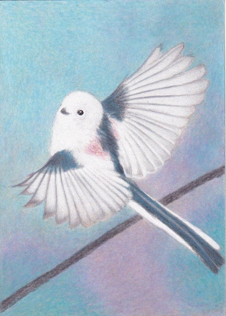 専用…かずちゃんさま