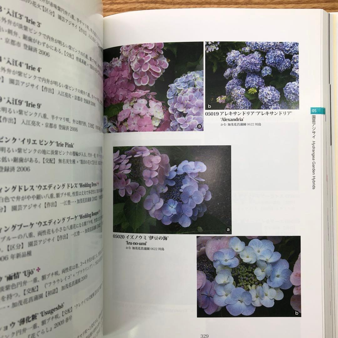 【限定1冊のみ】アジサイ百科 川島 榮生著 希少 レア 美品 匿名配送