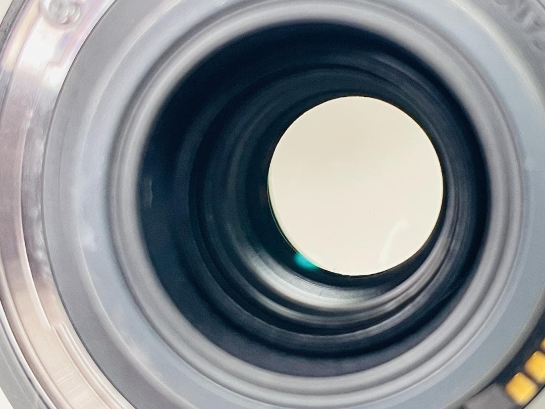 美品☘️Canon EF-S 18-200mm F3.5-5.6 IS キヤノン