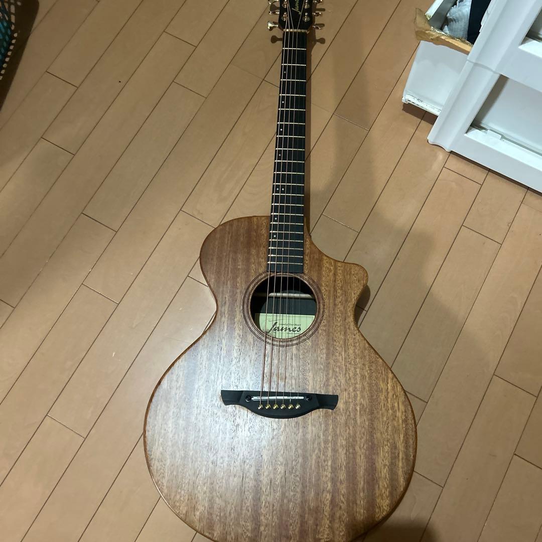 ギター James J-300C II James J-300C II See-through White アコースティックギター（新品