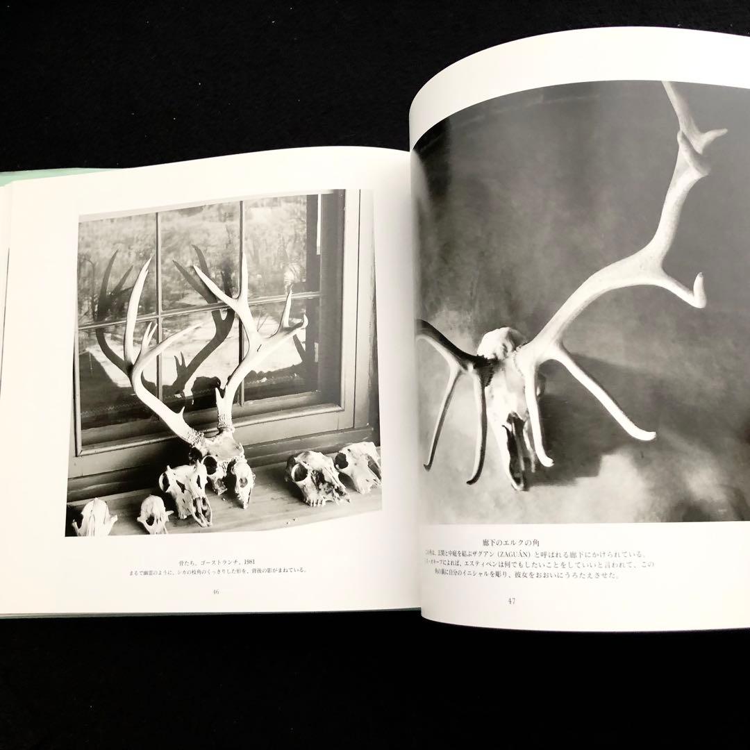 ジョージア・オキーフ 写真集「オキーフの家」2004年 メディア