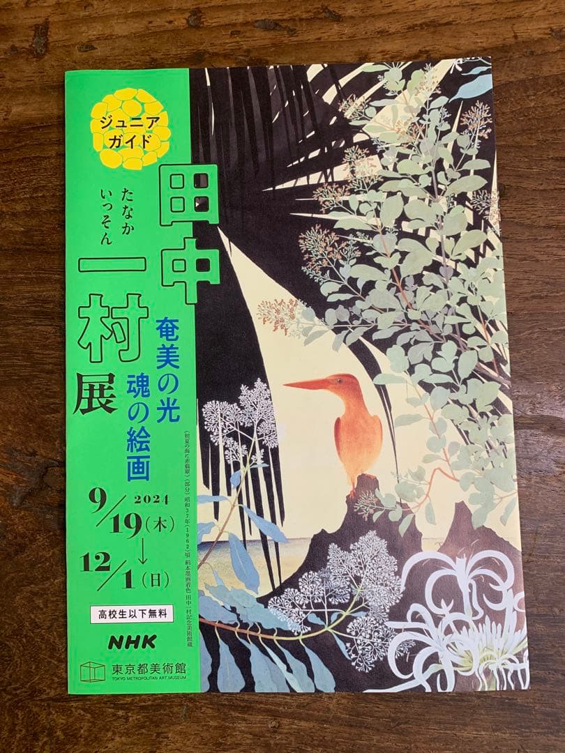 田中一村展 奄美の光 魂の絵画 公式図録とポストカード4枚とガイド