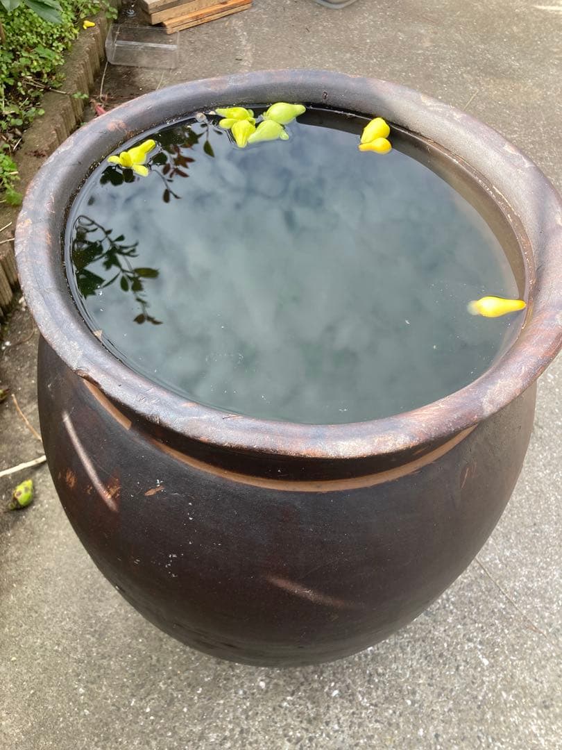 古民具】大型 渋い黒釉 、ダークブラウン陶器の甕。 アンティーク