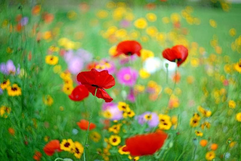 68　いとう7014　アダプターなしです。