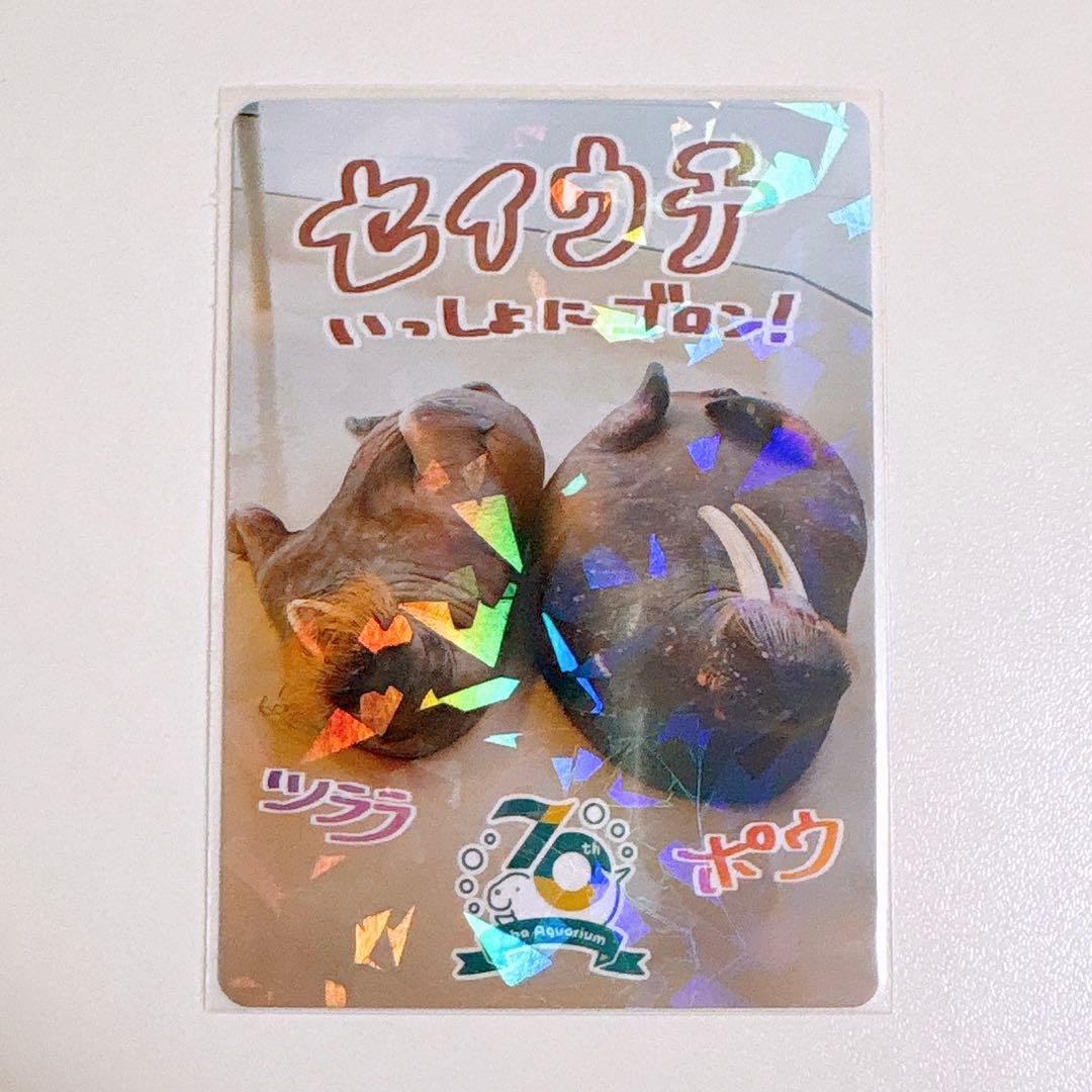 鳥羽水族館 コレクションカード レア セイウチ - メルカリ